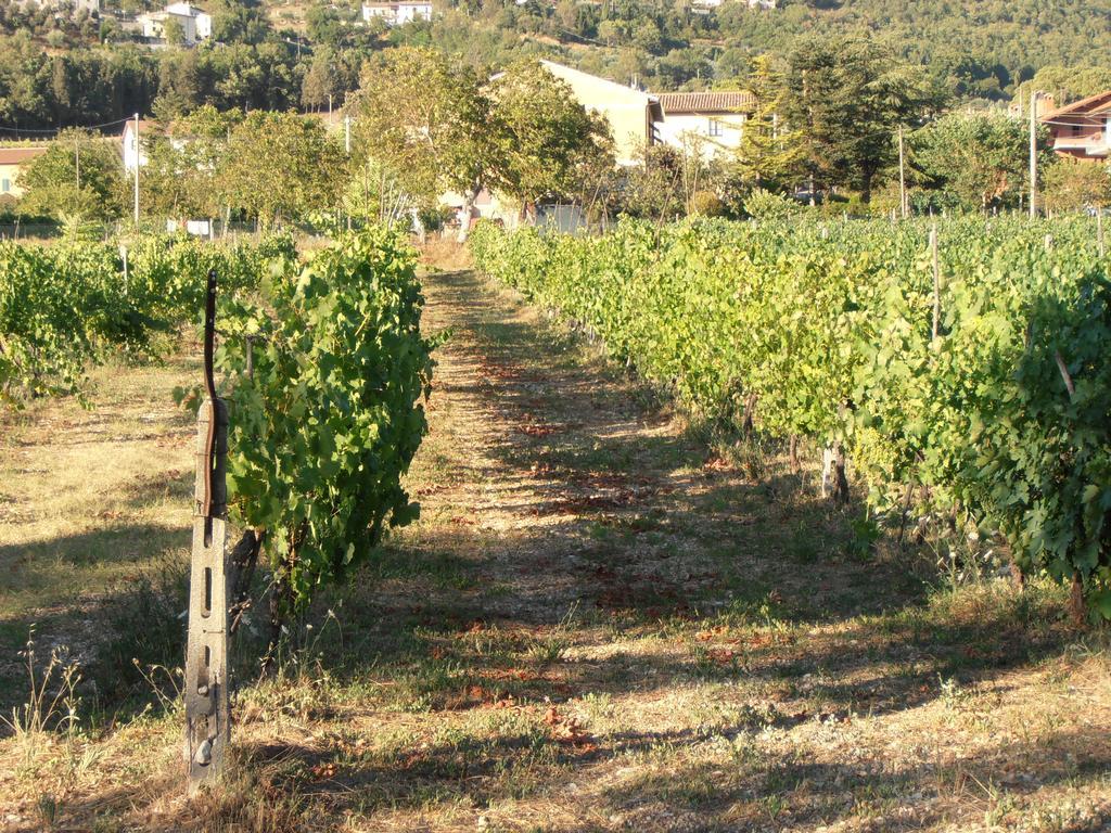 Agriturismo Ponte Di Riocchio Gubbio Buitenkant foto